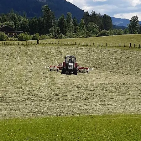 Wiesingbauer Farmház *