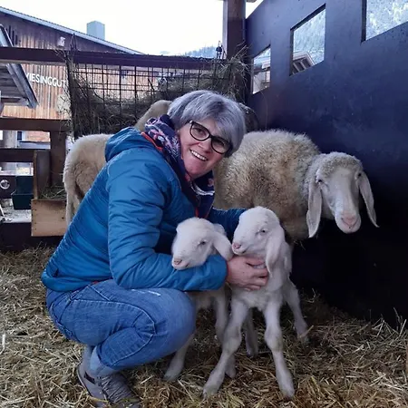 Wiesingbauer Farmház Saalfelden am Steinernen Meer