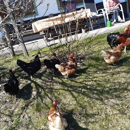 Séjour à la ferme Wiesingbauer