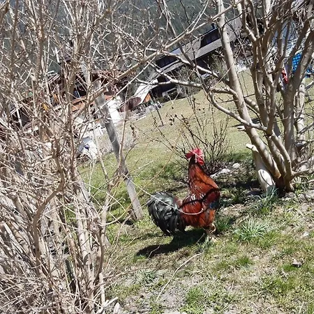 Wiesingbauer Séjour à la ferme