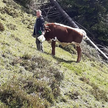 Wiesingbauer Saalfelden am Steinernen Meer