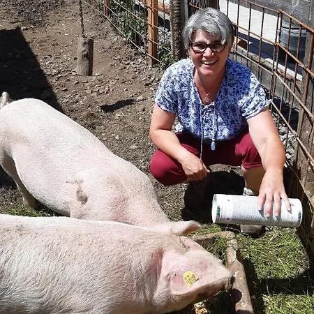 Wiesingbauer Farmház