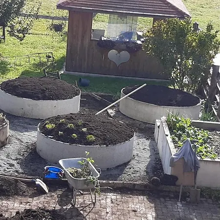 Wiesingbauer 팜스테이 살펠덴암스타이너르넨미어