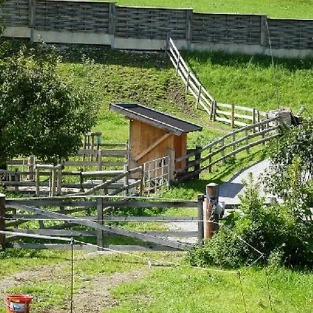 Wiesingbauer 팜스테이