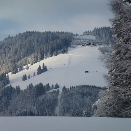 팜스테이 Wiesingbauer 살펠덴암스타이너르넨미어