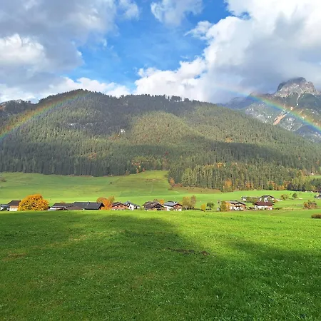 Wiesingbauer *