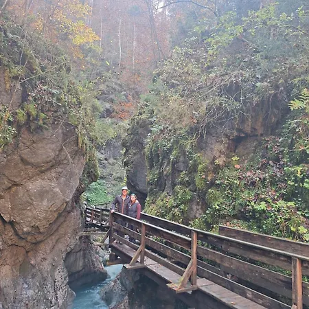 Wiesingbauer * Saalfelden am Steinernen Meer