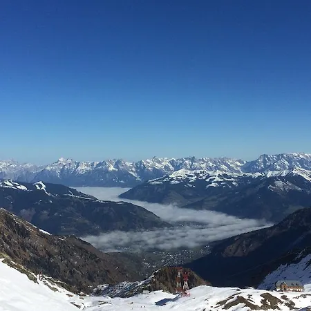 팜스테이 Wiesingbauer *