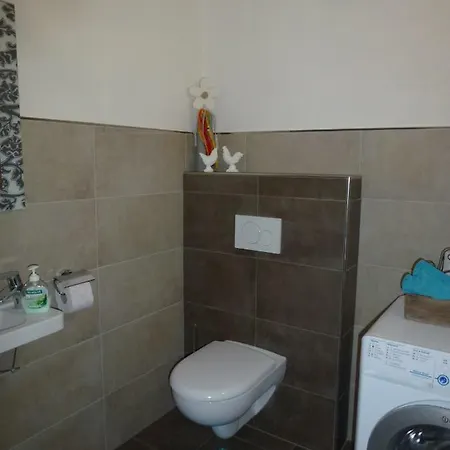 Wiesingbauer * 살펠덴암스타이너르넨미어