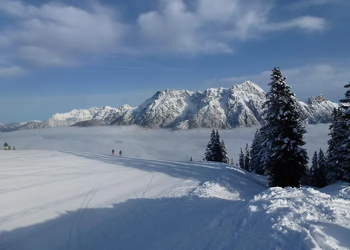 Wiesingbauer Saalfelden