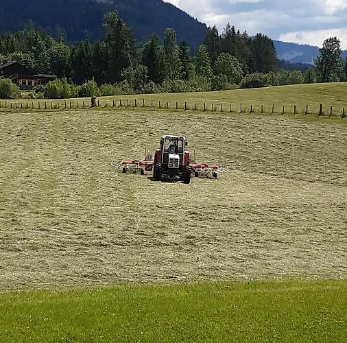 Wiesingbauer Feriegård *