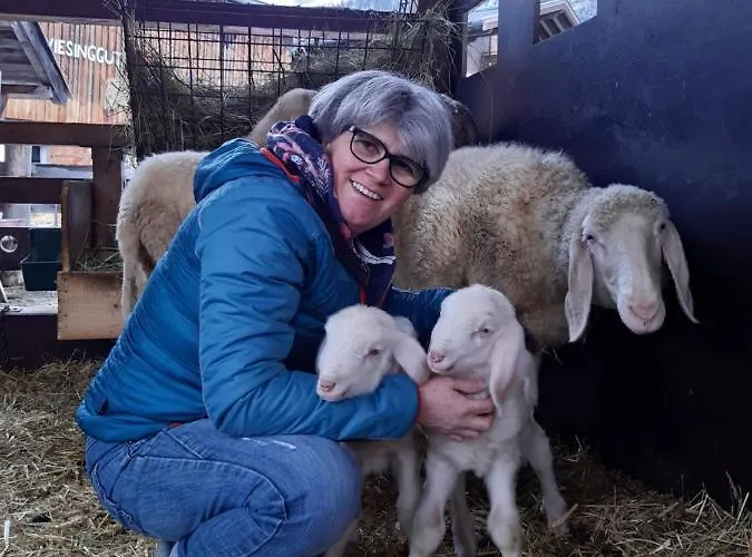 Wiesingbauer Feriegård Saalfelden