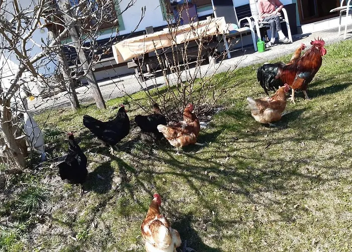 Feriegård Wiesingbauer