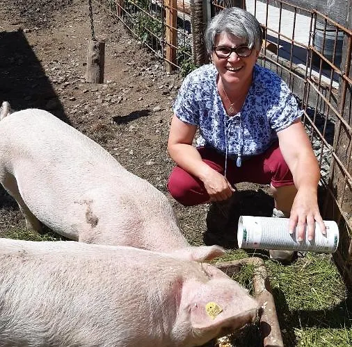 Wiesingbauer Feriegård