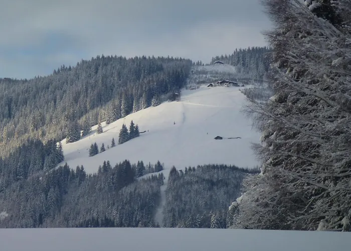 Feriegård Wiesingbauer Saalfelden