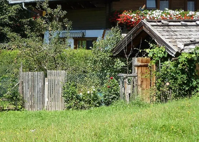 Wiesingbauer Saalfelden