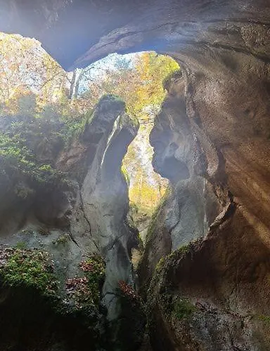 Wiesingbauer Saalfelden