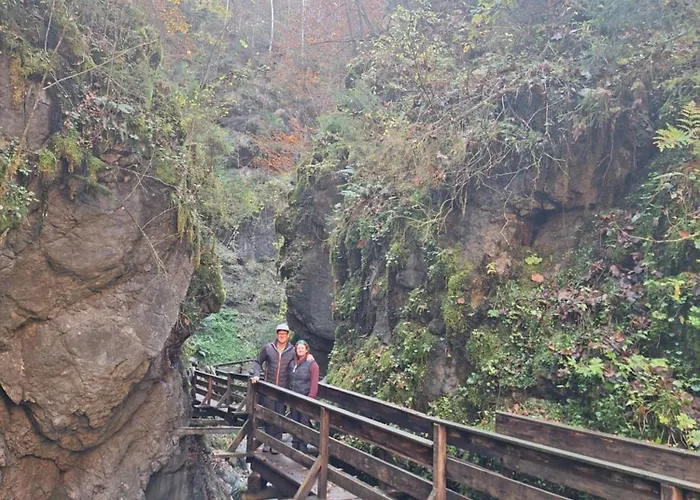 Wiesingbauer * Saalfelden