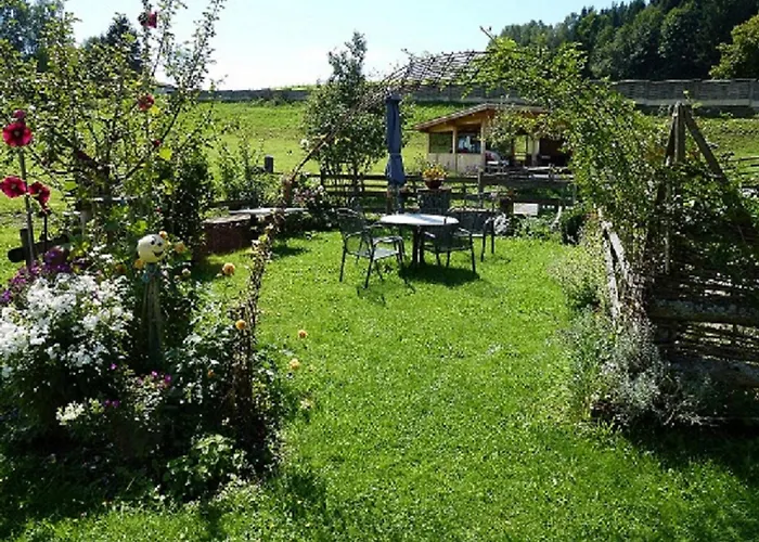 Wiesingbauer Saalfelden