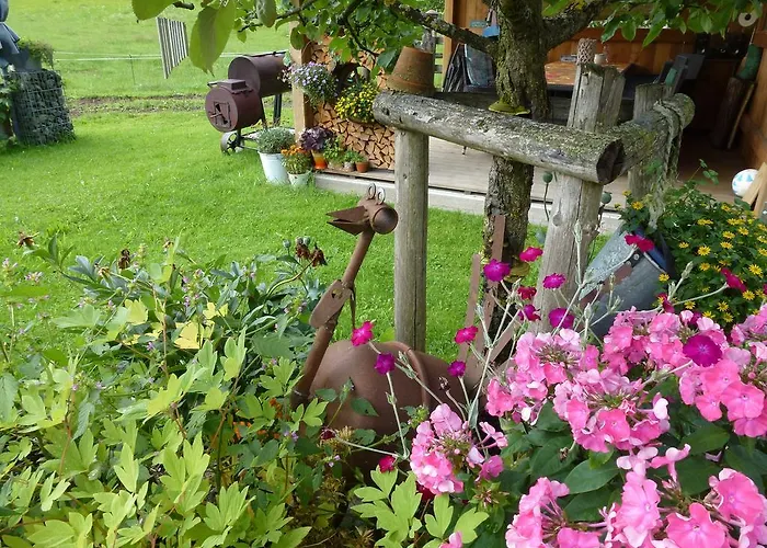 Wiesingbauer Saalfelden