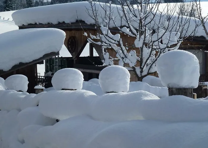 ファームステイ Wiesingbauer *