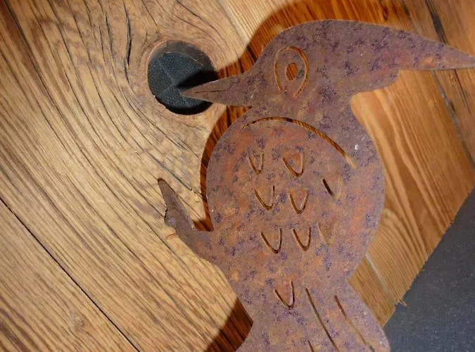 Wiesingbauer Saalfelden