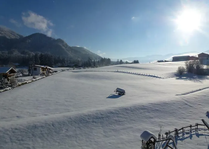 ファームステイ Wiesingbauer ザールフェルデン・アム・シュタイナーネン・メアー